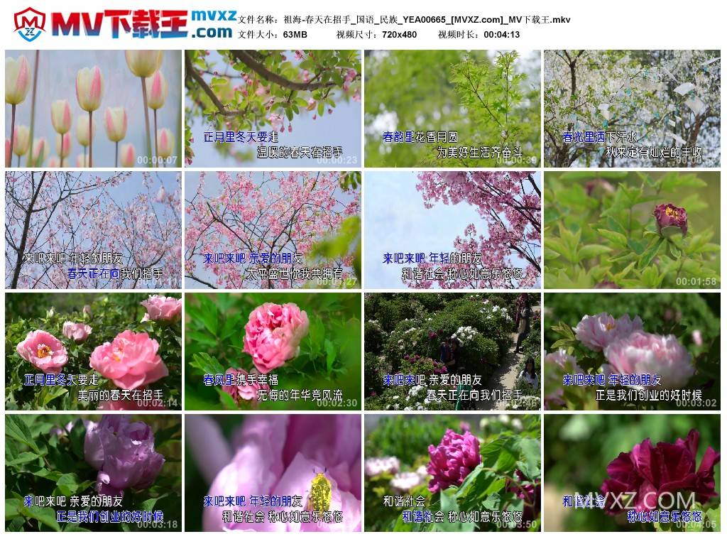 祖海-春天在招手_国语_民族_YEA00665
